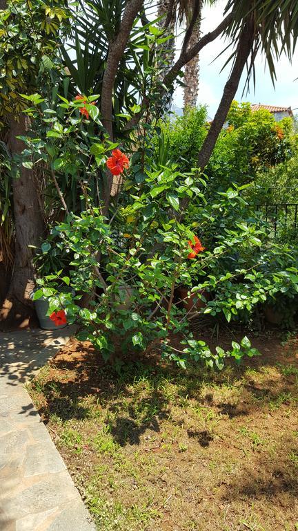 Villa Onar A Stone House With Amazing View Stoúpa エクステリア 写真