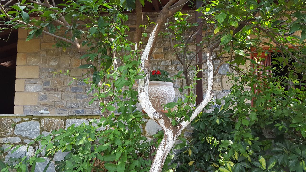 Villa Onar A Stone House With Amazing View Stoúpa エクステリア 写真